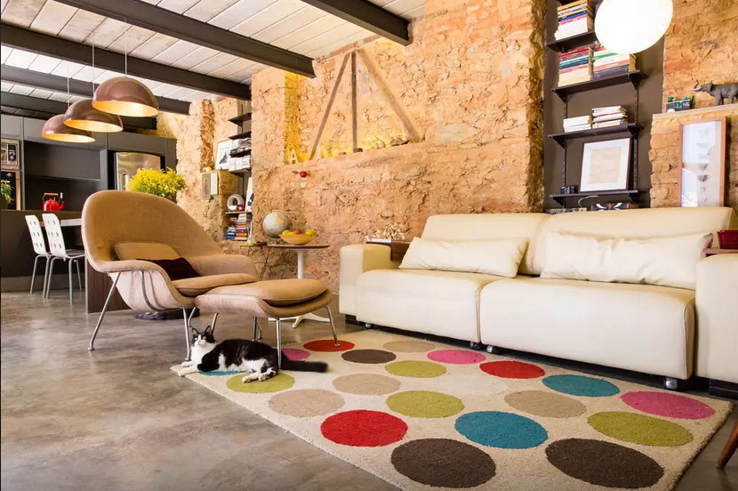 A gata está incluída como companhia na locação! A gata está incluída como companhia na locação!