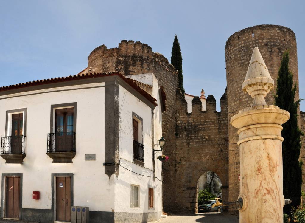 Conhecida por seus deliciosos queijos de ovelha, <strong>Serpa </strong>&eacute; uma pequena cidade do Alentejo cujo centro hist&oacute;rico tem casinhas caiadas de branco, com uma muralha de pedra de um castelo medieval e um aqueduto romano ao fundo. &Eacute; poss&iacute;vel fazer passeios de canoagem nos r&aacute;pidos do rio Guadiana, que corta a cidade.