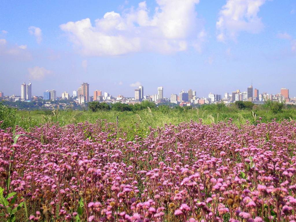 Skyline da cidade de Asunción, Paraguai Skyline da cidade de Asunción, Paraguai