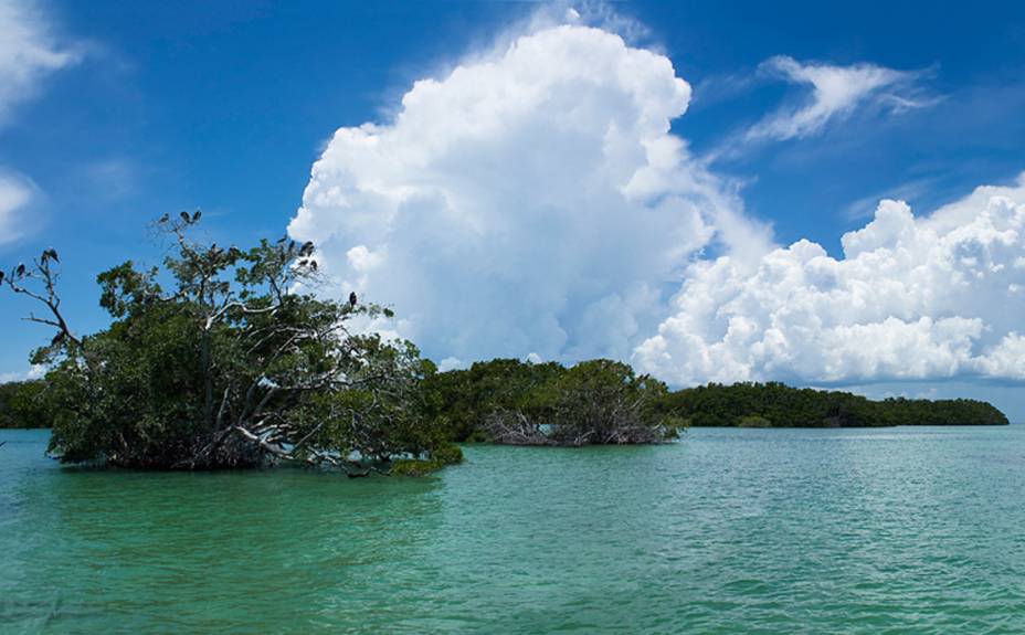 <strong>7. Reserva da Biosfera Sian Kaan</strong>Aqui o turismo é comandado pela comunidade local: os maias da região organizam <a href="https://www.siankaantours.org" target="_blank" rel="noopener"><strong>excursões e passeios </strong></a>