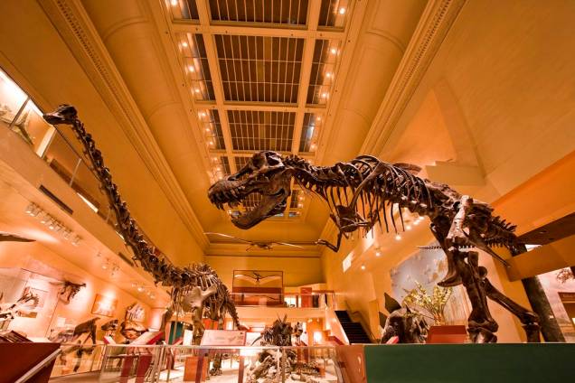 Ala dos dinossauros do Museum of Natural History Ala dos dinossauros do Museum of Natural History
