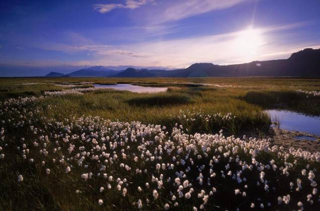 Península de Snaefellsnes Península de Snaefellsnes