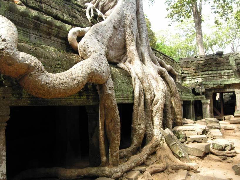 <strong>4. Ta Prohm</strong>Mais do que a sua arquitetura, este templo chama a atenção por ser um dos mais tomados por árvores que crescem dentro e fora das ruínas. Com raízes expostas enormes, essas árvores centenárias estão em constante conflito com as paredes de pedra. O resultado é impressionante!