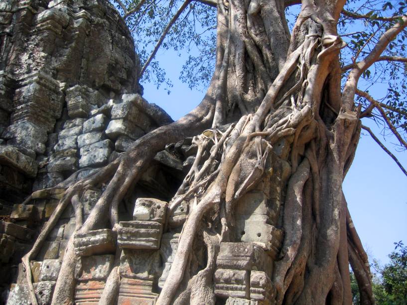 <strong>7. Ta Som</strong>Este templo entra na lista como outra constru&ccedil;&atilde;o impressionantemente tomada por &aacute;rvores. &Eacute; um templo pequeno que est&aacute; sendo atualmente restaurado para melhorar sua estabilidade e seguran&ccedil;a para visitantes