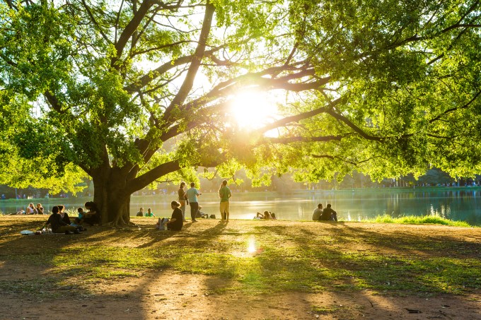 Tarde de sol no lago artificial do Parque do Ibirapuera em Sao Paulo Brasil