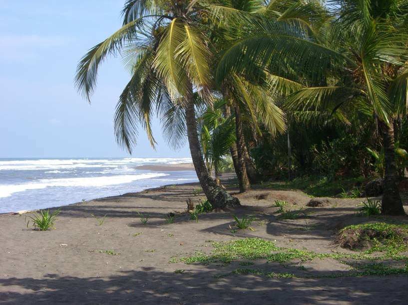 Acessível apenas por barco ou pequenos aviões, a <strong>Praia Tortuguero</strong>, na costa caribenha, fica próxima ao Parque Nacional Tortuguero, onde 4 espécies de tartarugas marinhas põem seus ovos. A região fica na <strong>costa caribenha</strong> e também abriga pássaros coloridos, macacos e até jaguares.