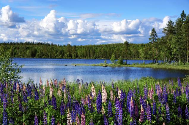 Considerado um dos mais belos países da Escandinávia, a Suécia concentra muitos lagos, que completam seus cenários repletos de natureza, charme e romantismo Considerado um dos mais belos países da Escandinávia, a Suécia concentra muitos lagos, que completam seus cenários repletos de natureza, charme e romantismo