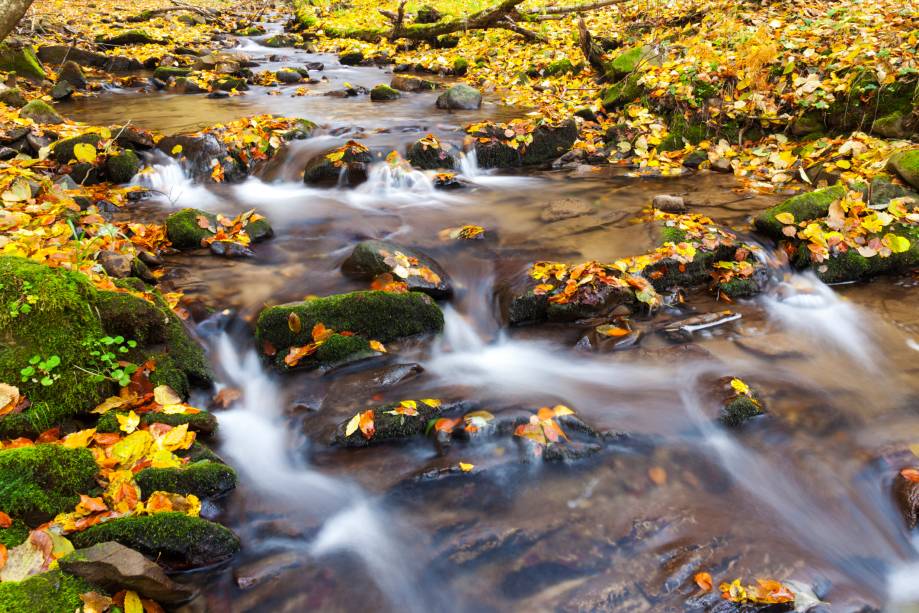 Com seus cenários naturais deslumbrantes, muitos deles ainda pouco explorados pelos turistas, a Eslováquia pode ser uma das melhores opções para quem quer fugir dos destinos mais lotados da Europa  Com seus cenários naturais deslumbrantes, muitos deles ainda pouco explorados pelos turistas, a Eslováquia pode ser uma das melhores opções para quem quer fugir dos destinos mais lotados da Europa