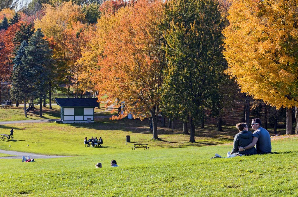 Tons de outono no esplendoroso Parc du Mont-Royal Tons de outono no esplendoroso Parc du Mont-Royal