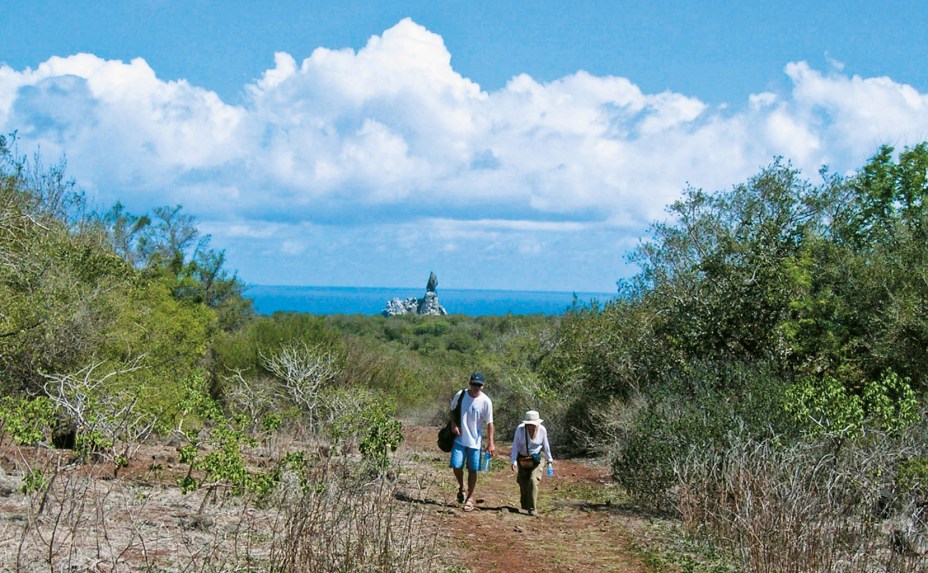 <strong>Trekking</strong>Há várias caminhadas que podem ser feitas pela ilha;uma das mais procuradas é o <a href="https://viajeaqui.abril.com.br/estabelecimentos/br-pe-fernando-de-noronha-atracao-trekking-ate-a-praia-da-atalaia">trekking até a Praia do Atalaia</a>. O passeio leva cinco horas, com paradas por piscinas naturais e mirantes - escolha um calçado confortável e antiderrapante. No final, a recompensa é nada menos que a piscina natural do Atalaia.