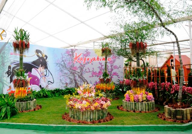 Exposição de flores na Aflord 2013 Exposição de flores na Aflord 2013