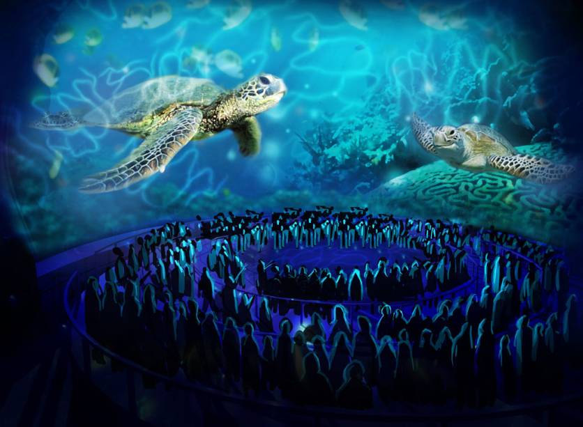 <strong>TurtleTrek</strong>, nova atração no SeaWorld: a jornada das tartarugas em 3D