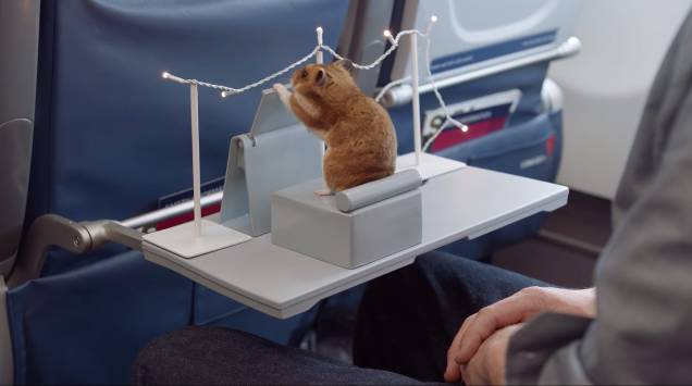 <strong>Hamsters comendo burritos</strong> Um vídeo megaproduzido no Youtube fez o maior sucesso em 2013 por mostrar hamsters comendo miniburritos perfeitos e apetitosos em uma pequena sala de jantar; <a href="https://www.youtube.com/watch?list=UUhTRw0OKvFG5k_RLBRmZ_sA&v=JOCtdw9FG-s" rel="assista" target="_blank">assista</a> <strong>Hamsters comendo burritos</strong> Um vídeo megaproduzido no Youtube fez o maior sucesso em 2013 por mostrar hamsters comendo miniburritos perfeitos e apetitosos em uma pequena sala de jantar; <a href="https://www.youtube.com/watch?list=UUhTRw0OKvFG5k_RLBRmZ_sA&v=JOCtdw9FG-s" rel="assista" target="_blank">assista</a>