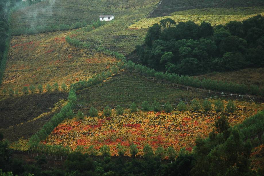 Vale dos Vinhedos em Bento Gonçalves, no Rio Grande do Sul