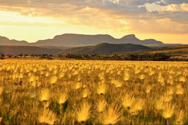 <strong><a href="https://viajeaqui.abril.com.br/cidades/br-go-chapada-dos-veadeiros" rel="Chapada dos Veadeiros -">Chapada dos Veadeiros -</a> QUATRO NOITES EM ALTO PARAÍSO</strong> 4 noites na econômica <a href="https://www.recantodagrandepaz.com.br/" rel="Pousada Recanto da Grande Paz" target="_blank">Pousada Recanto da Grande Paz</a>, com passeio ao Vale da Lua. Em 23/8. <strong>Quem leva:</strong> <a href="https://cvc.com.br" rel="CVC" target="_blank">CVC</a> (3003-9282) <strong>Quanto:</strong> desde R$ 1 488 <strong><a href="https://viajeaqui.abril.com.br/cidades/br-go-chapada-dos-veadeiros" rel="Chapada dos Veadeiros -">Chapada dos Veadeiros -</a> QUATRO NOITES EM ALTO PARAÍSO</strong> 4 noites na econômica <a href="https://www.recantodagrandepaz.com.br/" rel="Pousada Recanto da Grande Paz" target="_blank">Pousada Recanto da Grande Paz</a>, com passeio ao Vale da Lua. Em 23/8. <strong>Quem leva:</strong> <a href="https://cvc.com.br" rel="CVC" target="_blank">CVC</a> (3003-9282) <strong>Quanto:</strong> desde R$ 1 488
