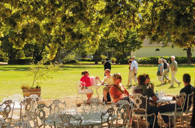 Degustação de pinotages no jardim Degustação de pinotages no jardim
