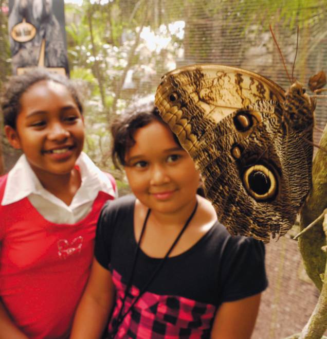 Entre as bucólicas Stellenbosch e Paarl, o borboletário do Butterfly World Entre as bucólicas Stellenbosch e Paarl, o borboletário do Butterfly World
