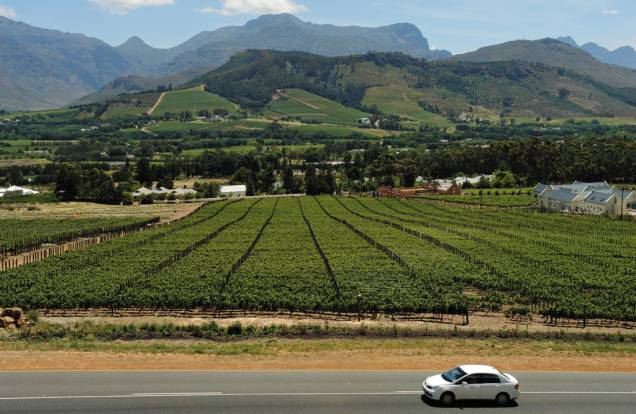 Um dos vinhedos de Franschhoek Um dos vinhedos de Franschhoek