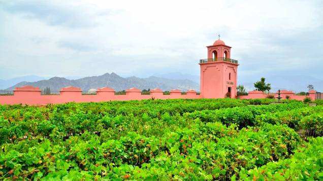 Com pouco mais de 240 mil habitantes, Ica é considerada como um grande centro de consumo de vinhos no país - uma prova viva de que vinhos da América Latina não se restringem apenas a <a href="https://viajeaqui.abril.com.br/paises/chile" target="_blank">Chile</a> e <a href="https://viajeaqui.abril.com.br/paises/argentina" target="_blank">Argentina</a>, mas também ao <a href="https://viajeaqui.abril.com.br/paises/brasil" target="_blank">Brasil</a>, <a href="https://viajeaqui.abril.com.br/paises/uruguai" target="_blank">Uruguai</a> e <a href="https://viajeaqui.abril.com.br/paises/peru" target="_blank">Peru</a>. Localizada a 400 metros acima do nível do mar, a Viña Tacama possui vinhedos que totalizam uma área de 200 hectares de extensão e oferece um passeio guiado de trinta minutos. Os cenários de montanhas ao seu redor contribuem para o impacto visual do local Com pouco mais de 240 mil habitantes, Ica é considerada como um grande centro de consumo de vinhos no país - uma prova viva de que vinhos da América Latina não se restringem apenas a <a href="https://viajeaqui.abril.com.br/paises/chile" target="_blank">Chile</a> e <a href="https://viajeaqui.abril.com.br/paises/argentina" target="_blank">Argentina</a>, mas também ao <a href="https://viajeaqui.abril.com.br/paises/brasil" target="_blank">Brasil</a>, <a href="https://viajeaqui.abril.com.br/paises/uruguai" target="_blank">Uruguai</a> e <a href="https://viajeaqui.abril.com.br/paises/peru" target="_blank">Peru</a>. Localizada a 400 metros acima do nível do mar, a Viña Tacama possui vinhedos que totalizam uma área de 200 hectares de extensão e oferece um passeio guiado de trinta minutos. Os cenários de montanhas ao seu redor contribuem para o impacto visual do local