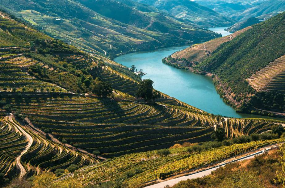 Os vinhedos que ornam o sinuoso <strong>Douro</strong>