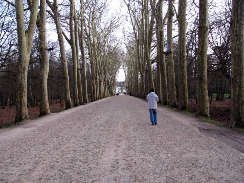 Caminho para o <a href="https://viajeaqui.abril.com.br/estabelecimentos/franca-vale-do-loire-atracao-chateau-de-chenonceau" rel="Ch&acirc;teau de Chenonceau" target="_self">Ch&acirc;teau de Chenonceau</a>, <a href="https://viajeaqui.abril.com.br/cidades/franca-vale-do-loire" rel="Vale do Loire" target="_self">Vale do Loire</a>, <a href="https://viajeaqui.abril.com.br/paises/franca" rel="Fran&ccedil;a" target="_self">Fran&ccedil;a</a>