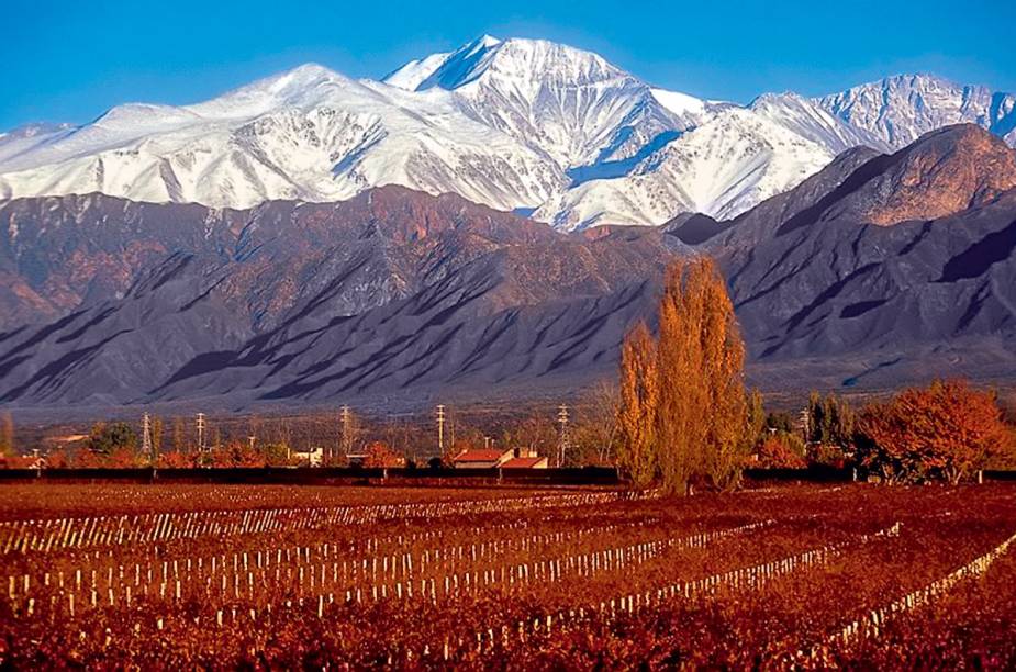 <strong>Norton</strong>"Fundada por um engenheiro civil inglês que se apaixonou por uma mendoncina, ainda hoje é uma vinícola familiar, só que da família austríaca Swarosvki. A loja é completa, e minha dica é comprar um casaco, para seguir a viagem mais protegido, e uma garrafa do Elegido, um vinho elaborado exclusivamente para os visitantes."<em>Endereço: Ruta Provincial 15, km 23,5 Perdriel, Luján de Cuyo, 261/490-9760</em><em>Funcionamento: de segunda a sábado. Tours às 9h, 10h30, 12h, 13h30, 15h e 16h30.</em> <strong>Norton</strong>"Fundada por um engenheiro civil inglês que se apaixonou por uma mendoncina, ainda hoje é uma vinícola familiar, só que da família austríaca Swarosvki. A loja é completa, e minha dica é comprar um casaco, para seguir a viagem mais protegido, e uma garrafa do Elegido, um vinho elaborado exclusivamente para os visitantes."<em>Endereço: Ruta Provincial 15, km 23,5 Perdriel, Luján de Cuyo, 261/490-9760</em><em>Funcionamento: de segunda a sábado. Tours às 9h, 10h30, 12h, 13h30, 15h e 16h30.</em>