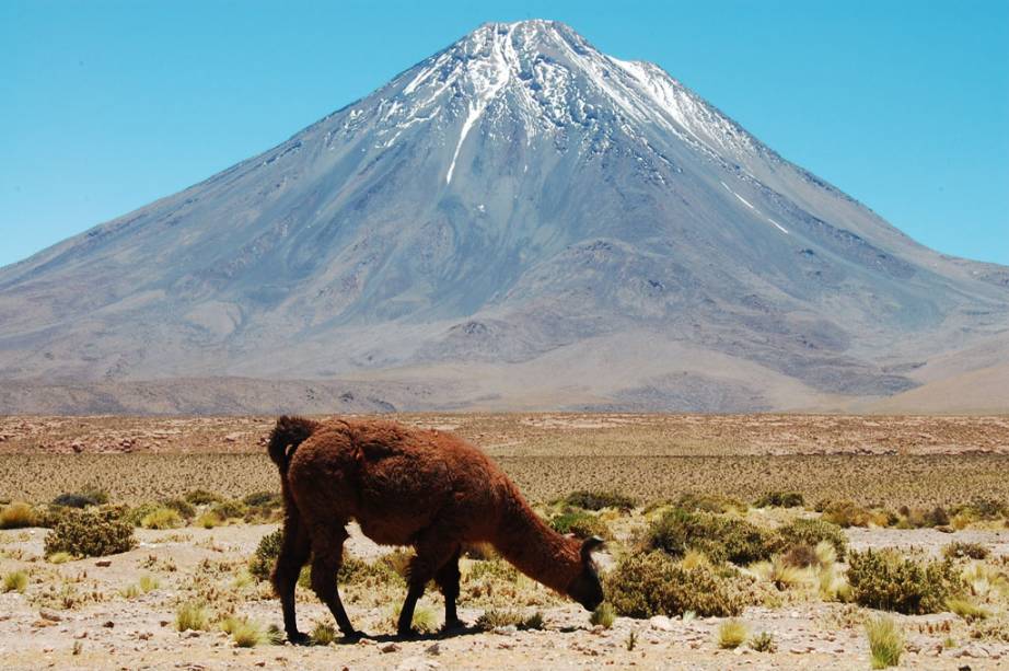 <strong>LUXO COM <a href="https://viajeaqui.abril.com.br/cidades/ar-patagonia" rel="PATAG&Ocirc;NIA" target="_self">PATAG&Ocirc;NIA</a> </strong>Da aridez surreal do deserto &agrave; exuber&acirc;ncia dos glaciares, fiordes, montanhas nevadas e campos que s&oacute; florescem nesta &eacute;poca do ano: s&atilde;o tr&ecirc;s noites no <a href="https://viajeaqui.abril.com.br/cidades/chile-san-pedro-de-atacama" rel="Atacama" target="_self">Atacama</a> e quatro na Patag&ocirc;nia, em hot&eacute;is cinco-estrelas da rede <a href="https://tierrahotels.com" rel="Tierra" target="_blank">Tierra</a>, com pens&atilde;o completa, open bar e sa&iacute;das di&aacute;rias para explora&ccedil;&otilde;es, mais duas noites no <a href="https://bit.ly/r_tz" rel="Ritz" target="_blank">Ritz</a> de <a href="https://viajeaqui.abril.com.br/cidades/chile-santiago" rel="Santiago" target="_self">Santiago</a>.<strong>QUANDO:</strong> At&eacute; dezembro<strong>QUEM LEVA:</strong>&nbsp;A <a href="https://bit.ly/p_nt" rel="Interpoint" target="_blank">Interpoint</a><strong>QUANTO:&nbsp;</strong>US$ 5 355 (sem a&eacute;reo)