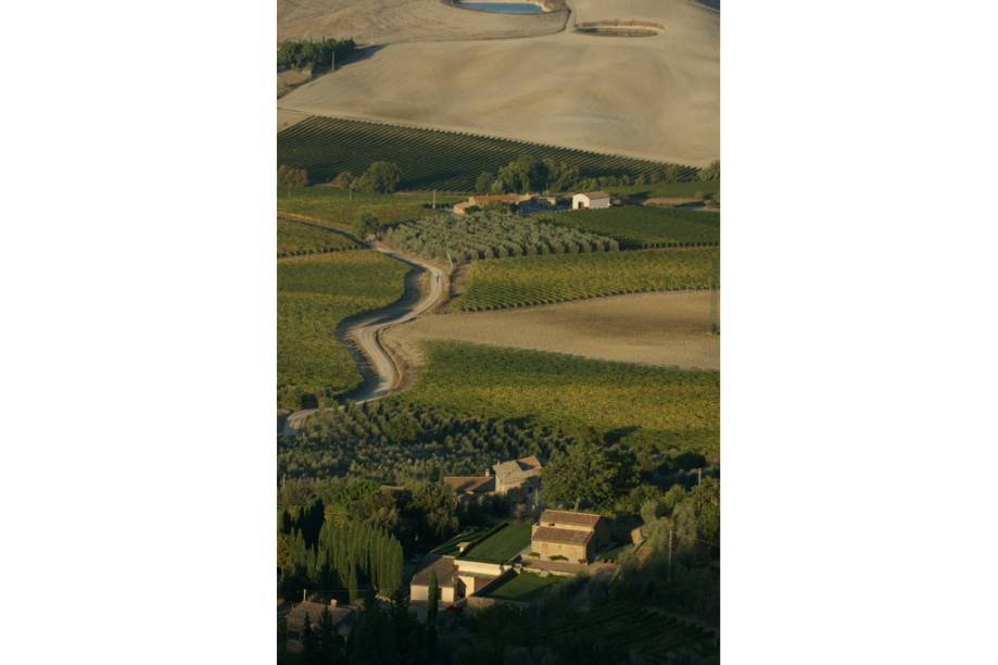 Vinhedos ao redor da cidade de Montalcino na <a href="https://viajeaqui.abril.com.br/paises/italia" rel="It&aacute;lia" target="_self">It&aacute;lia</a>