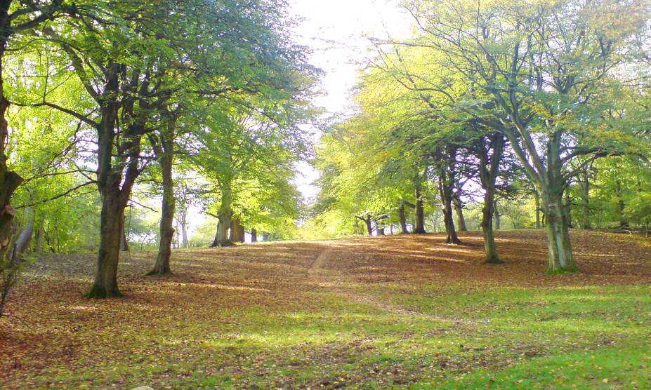 <strong>7. Floresta de Wychwood, Oxfordshire, <a href="https://viajeaqui.abril.com.br/paises/reino-unido?iframe=true" rel="Reino Unido" target="_self">Reino Unido</a></strong> Localizada em uma pequena área rural do condado de Oxforshire, essa floresta já ocupou uma extensa região no passado – favorável à agricultura. Hoje, seus pequenos vestígios contam mitos e lendas que assustam moradores e turistas, como a de mãos tocando os ombros de uma pessoa solitária ou o barulho de cavalos invisíveis trotando. Um dos casos mais famosos é o de Amy Robsart, esposa do Conde de Lancaster: depois de misteriosamente quebrar o pescoço e morrer, a jovem mulher teria aparecido para o marido enquanto ele caçava no bosque, anunciando que ele se juntaria a ela em apenas dez dias. E não é que o cara adoeceu e cumpriu a profecia?! Dizem que até hoje o fantasma dela ronda a floresta para anunciar o mesmo destino para alguns pobres desafortunados. Na dúvida, vá equipado com água benta. <strong>7. Floresta de Wychwood, Oxfordshire, <a href="https://viajeaqui.abril.com.br/paises/reino-unido?iframe=true" rel="Reino Unido" target="_self">Reino Unido</a></strong> Localizada em uma pequena área rural do condado de Oxforshire, essa floresta já ocupou uma extensa região no passado – favorável à agricultura. Hoje, seus pequenos vestígios contam mitos e lendas que assustam moradores e turistas, como a de mãos tocando os ombros de uma pessoa solitária ou o barulho de cavalos invisíveis trotando. Um dos casos mais famosos é o de Amy Robsart, esposa do Conde de Lancaster: depois de misteriosamente quebrar o pescoço e morrer, a jovem mulher teria aparecido para o marido enquanto ele caçava no bosque, anunciando que ele se juntaria a ela em apenas dez dias. E não é que o cara adoeceu e cumpriu a profecia?! Dizem que até hoje o fantasma dela ronda a floresta para anunciar o mesmo destino para alguns pobres desafortunados. Na dúvida, vá equipado com água benta.