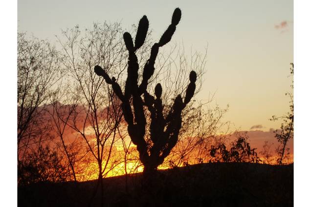 Pôr do sol em Milagres, <a href="https://viajeaqui.abril.com.br/estados/br-bahia" rel="Bahia" target="_self">Bahia</a> Pôr do sol em Milagres, <a href="https://viajeaqui.abril.com.br/estados/br-bahia" rel="Bahia" target="_self">Bahia</a>