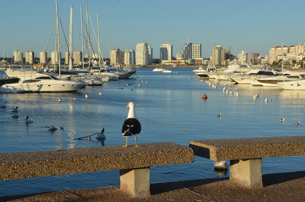 Porto de Punta, na Playa Mansa em Punta del Este, no Uruguai