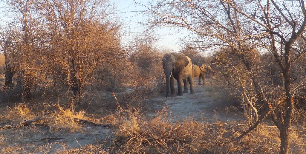 Seis pacotes para você viajar para a Namíbia, na África