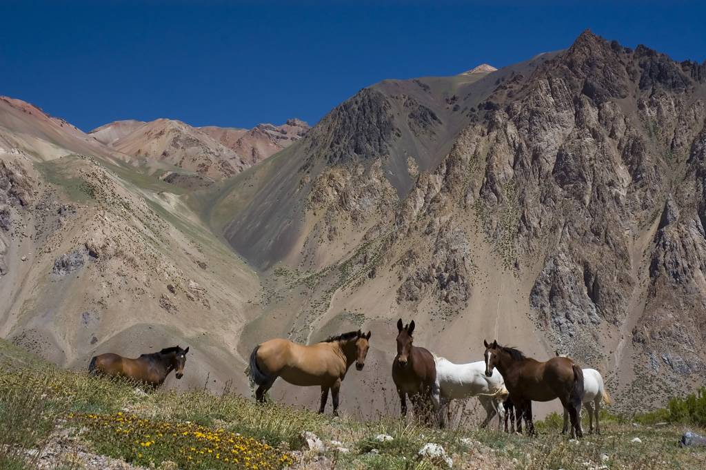 Vista de Mendoza, Argentina