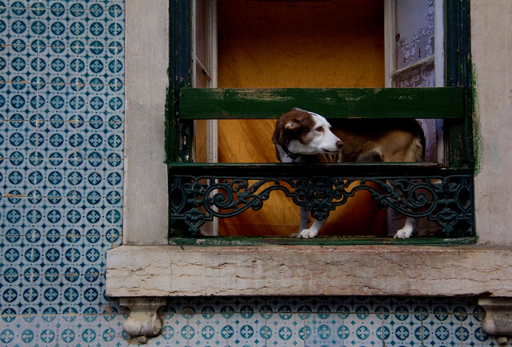 Alfama, Lisboa, Portugal