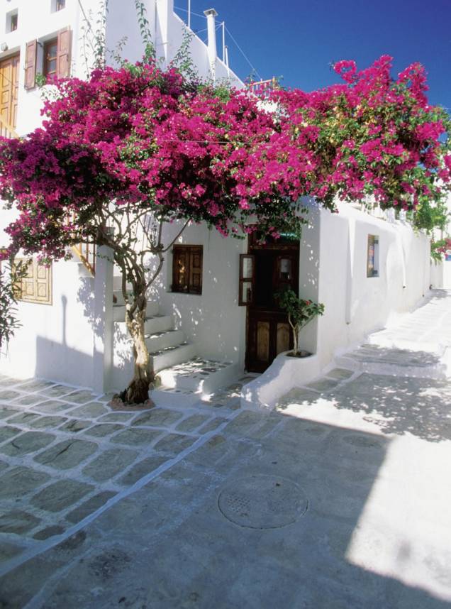 As famosas casinhas caiadas de branco, praticamente debruçadas no mar e enfileiradas em vielas estreitas, compõem a bela paisagem de Santorini As famosas casinhas caiadas de branco, praticamente debruçadas no mar e enfileiradas em vielas estreitas, compõem a bela paisagem de Santorini