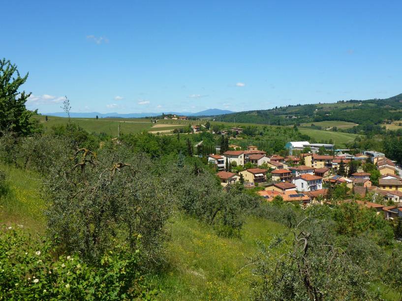 Greve in Chianti sempre foi um território valorizado do ponto de vista da produção agrícola