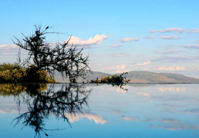Os lodges no Parque Nacional Lago Manyara oferecem confortos mais que bem vindos no calor opressivo das savanas, como piscinas de borda infinita Os lodges no Parque Nacional Lago Manyara oferecem confortos mais que bem vindos no calor opressivo das savanas, como piscinas de borda infinita