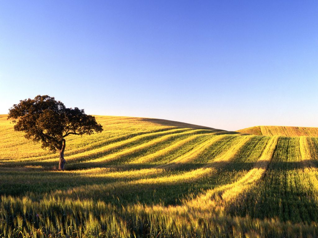 alentejo