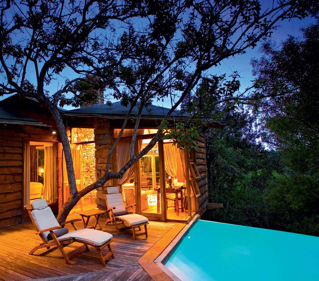 arvore-tsala-lodge.jpeg