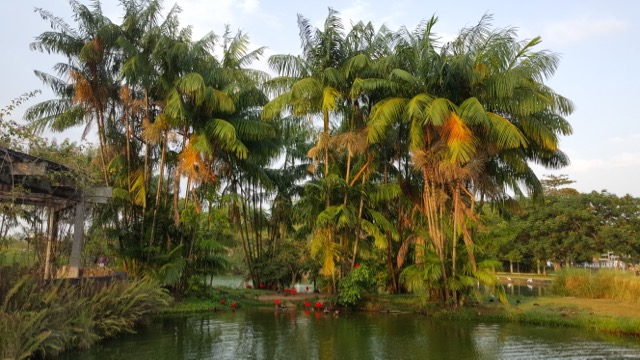 O lindinho Mangal das Gar&ccedil;as