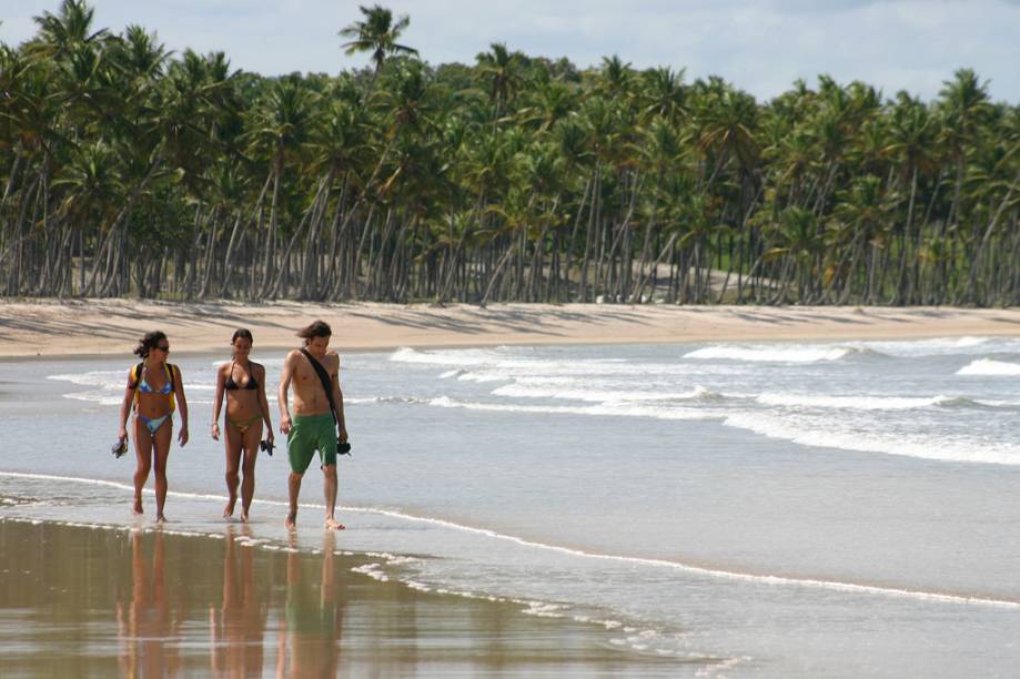 Coqueiral na Praia da Cueira, na Ilha de Boipeba