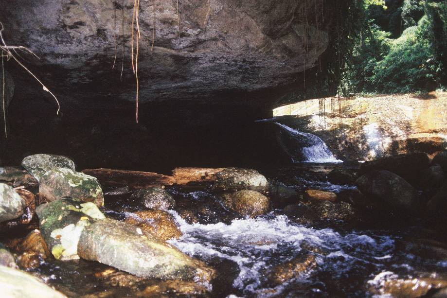 Tarefa difícil é eleger a melhor cachoeira de <a href="https://beta-develop.viagemeturismo.abril.com.br/cidades/ilhabela/" target="_blank">Ilhabela</a>. A mais famosa é a <a href="https://beta-develop.viagemeturismo.abril.com.br/atracao/cachoeira-da-toca/" target="_blank">Cachoeira da Toca</a>, que diverte crianças e adultos com seu extenso tobogã natural. Há quem afirme que o óleo oferecido como repelente para os borrachudos é um potencializador ideal para que a descida pelo tobogã natural seja "com emoção". O nome da cachoeira vem de uma gruta em formato de toca que fica à beira da piscina natural.