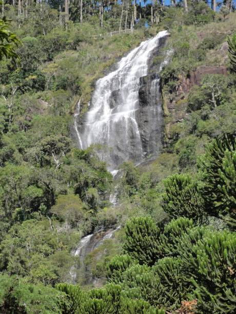 Mata virgem, pouca movimentação e o som dos passarinhos acompanham a vista da extensa Cachoeira do Toldi. O acesso ao topo requer tempo e algum preparo físico. Mas quem está no trecho entre <a href="https://beta-develop.viagemeturismo.abril.com.br/cidades/campos-do-jordao-2/" target="_blank">Campos do Jordão</a> e <a href="https://beta-develop.viagemeturismo.abril.com.br/cidades/sao-bento-do-sapucai/" target="_blank">São Bento do Sapucaí</a> ou está a caminho da <a href="https://beta-develop.viagemeturismo.abril.com.br/atracao/pedra-do-bau/" target="_blank">Pedra do Baú</a> pode fazer uma parada para conferi-la do mirante