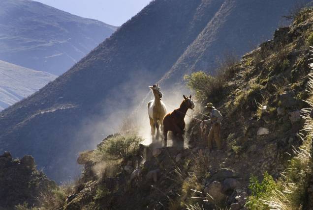 Caminho Andino, próximo a Salta Caminho Andino, próximo a Salta