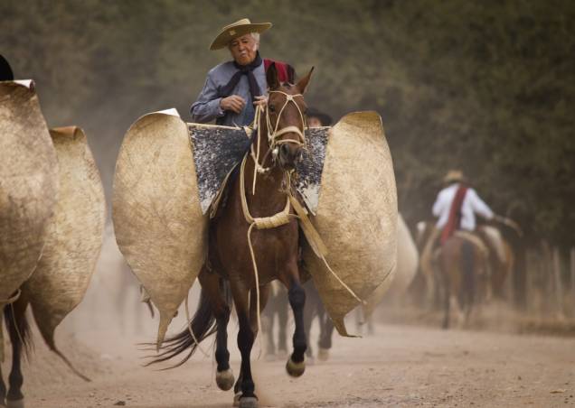 Desfile Gaúcho em Salta Desfile Gaúcho em Salta