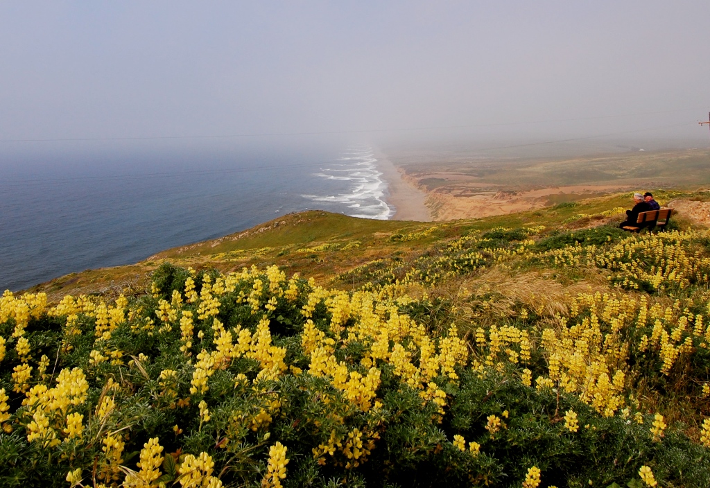 Reyes Point, Calif&oacute;rnia, Estados Unidos