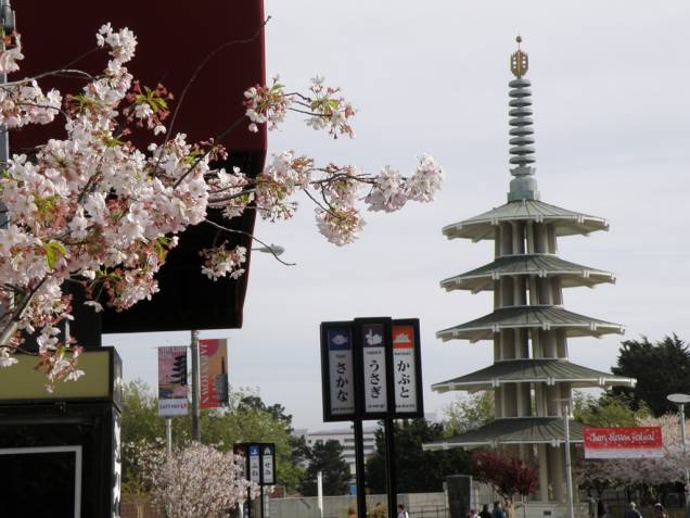 Cerejeira no Japantown, em San Francisco Cerejeira no Japantown, em San Francisco