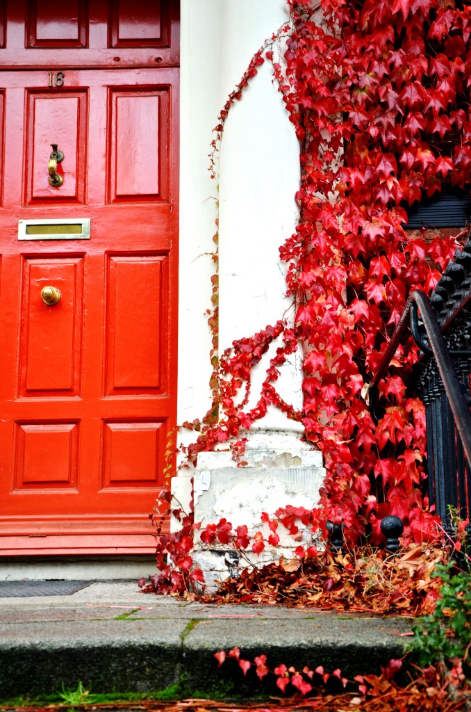 Porta em Dublin