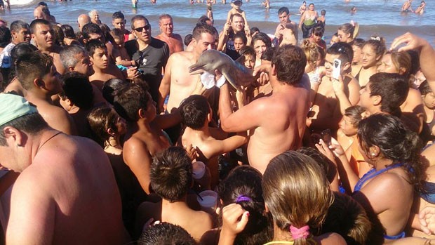 A foto da disc&oacute;rdia [foto: Facebook/Hernan Coria]