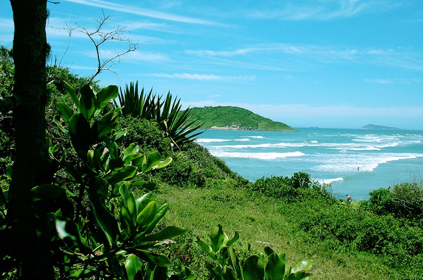 Quase deserta, é boa para surfe, wind e kitesurfe. Acesso fácil, de carro, pela faixa de areia que divide a lagoa da Praia de Ibiraquera. Ao norte, um morro a separa da Praia do Rosa (1h30 a pé).